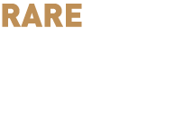 RARE  RISINGSTARS - The UK’s Top 10 Black Students 