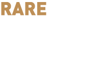 RARE  RISINGSTARS - The UK’s Top 10 Black Students 